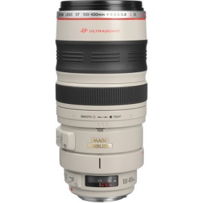 Canon EF 100-400mm f/4.5-5.6L IS USM Lenses