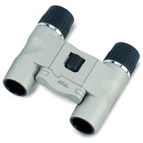 Bosma 10 x 25 Compact Binoculars SILVER 342016