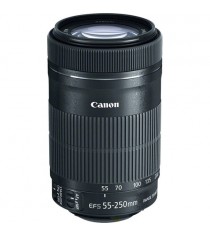 Canon EF-S 55-250mm f4-5.6 IS STM Lens (White Box)