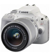 Canon EOS Kiss X7 Kit with EF-S 18-55mm f/3.5-5.6 IS STM and EF 40mm f/2.8 STM Lens White Digital SLR Camera
